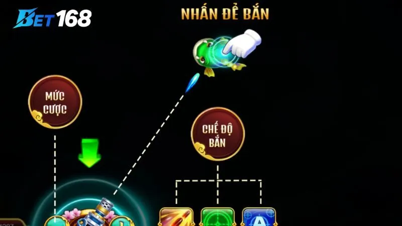 Theo dõi sát sao chu kỳ xuất hiện của cá