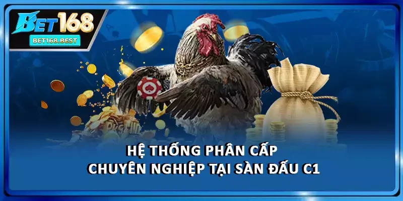 Hệ thống phân cấp chuyên nghiệp tại sàn đấu C1